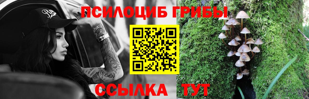Галлюциногенные грибы прущие грибы  Вход с VPN  Щёкино  Галлюциногенные грибы ЛСД 
